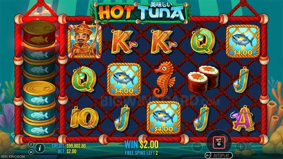 phlaro Setting Healthy Gambling Limits